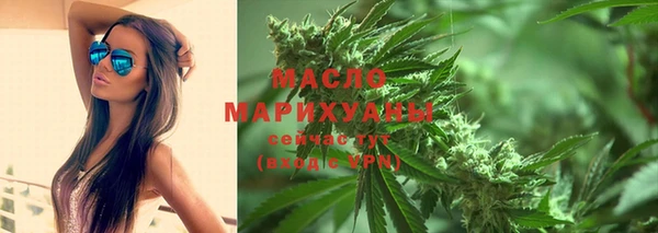 мдпв Рославль