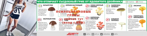 apvp Алексин
