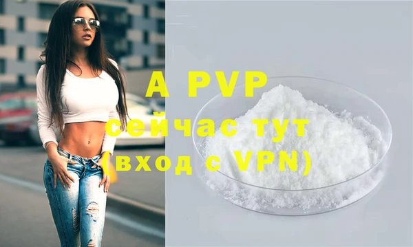 apvp Алексин