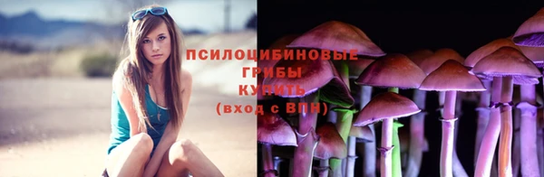 mdpv Алзамай