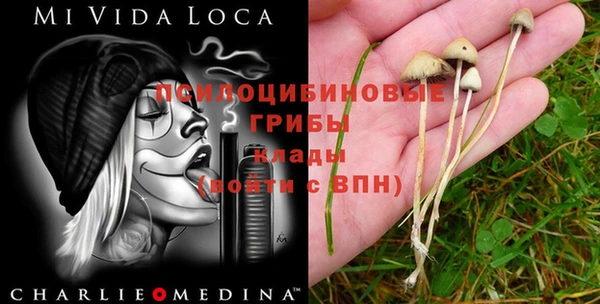 бутират Алексеевка