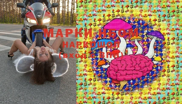 apvp Алексин