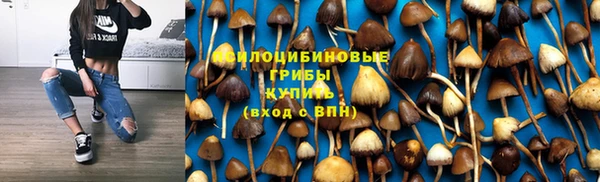 бутират Алексеевка