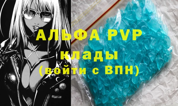 стаф Россошь