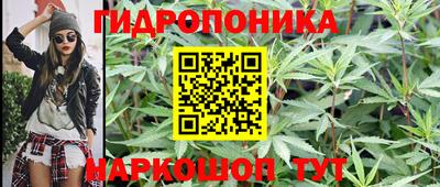 индика Малоярославец