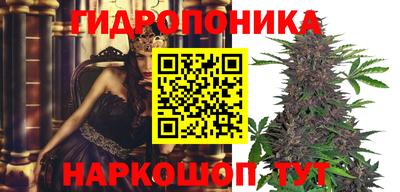индика Малоярославец