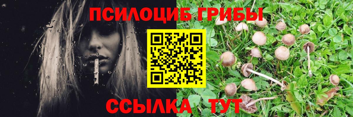 Псилоцибиновые грибы Magic Shrooms Губкин